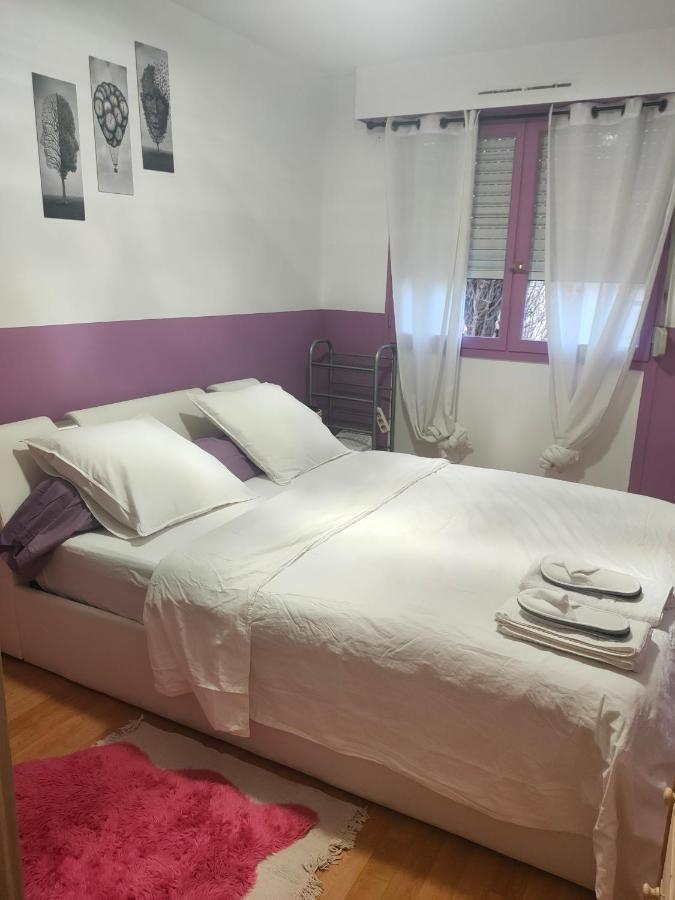 Logement Entier+ Jardin Prive Et Parking 2Places Rouen Luaran gambar